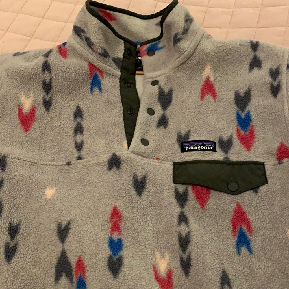 Patagonia Synchilla pullover